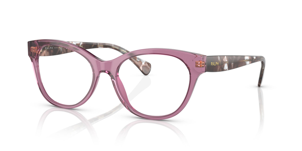 6008 - Violet