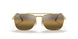 9196G5 - Gold - Polar Clear Gradient Dark Brow
