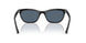 901/2V - Black - Blue Polar