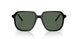 300171 - Black - Dark Green Solid