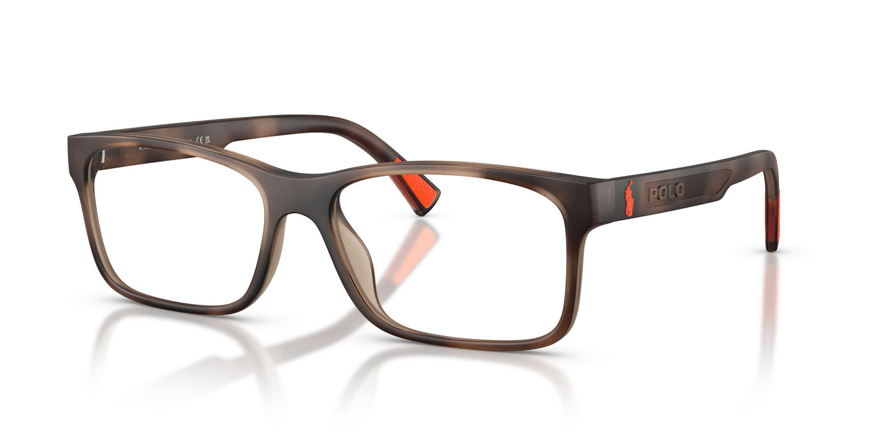 6070 - Tortoise