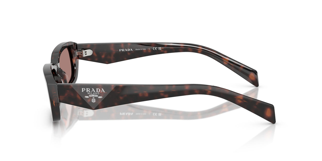17N60B - Tortoise - Light Brown
