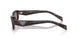 17N60B - Tortoise - Light Brown