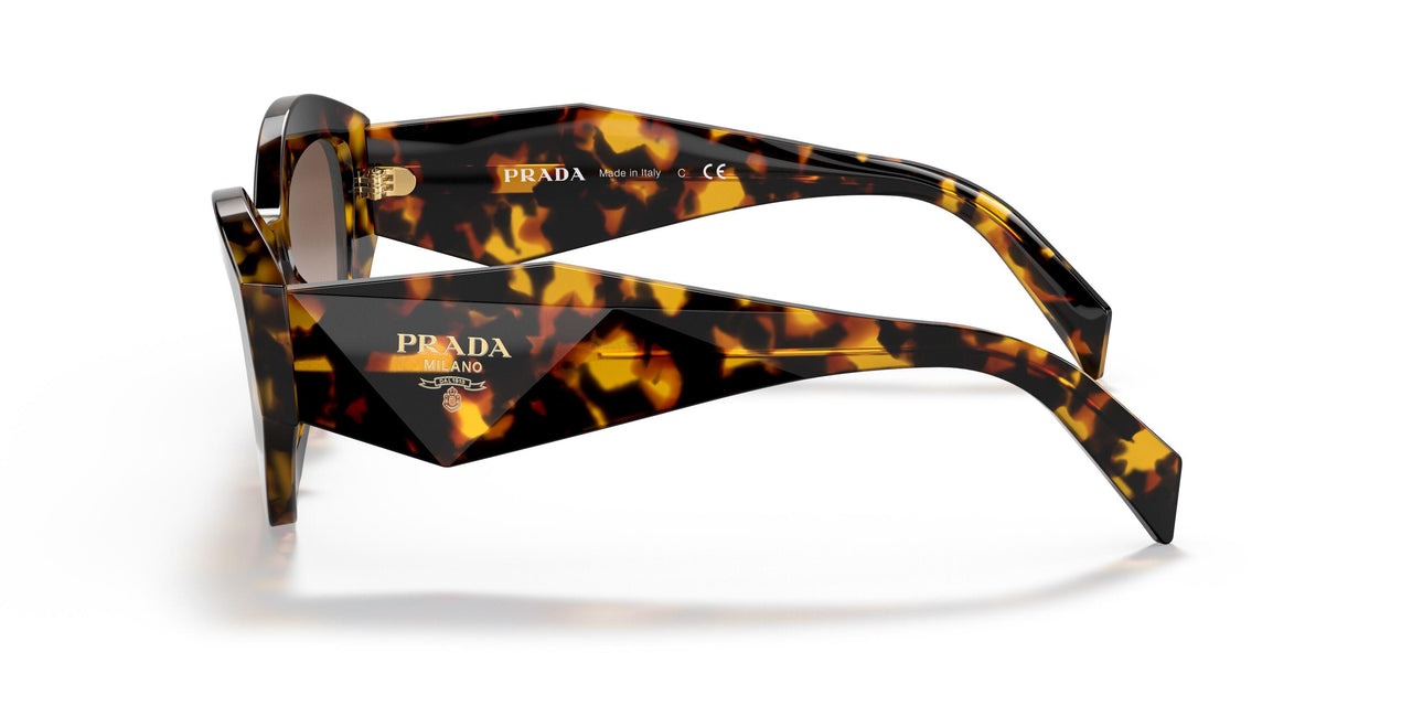 VAU6S1 - Havana - Brown Gradient