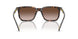 500313 - Tortoise - Gradient Dark Brown