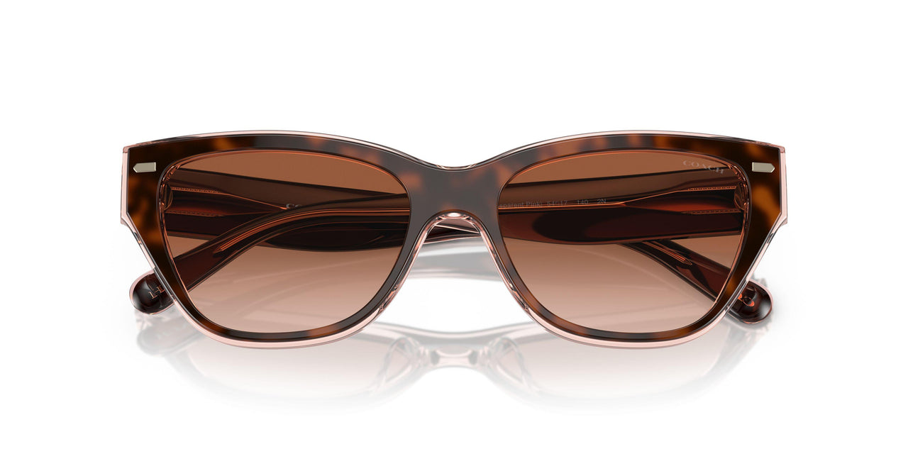 574413 - Tortoise - Brown Pink Gradient