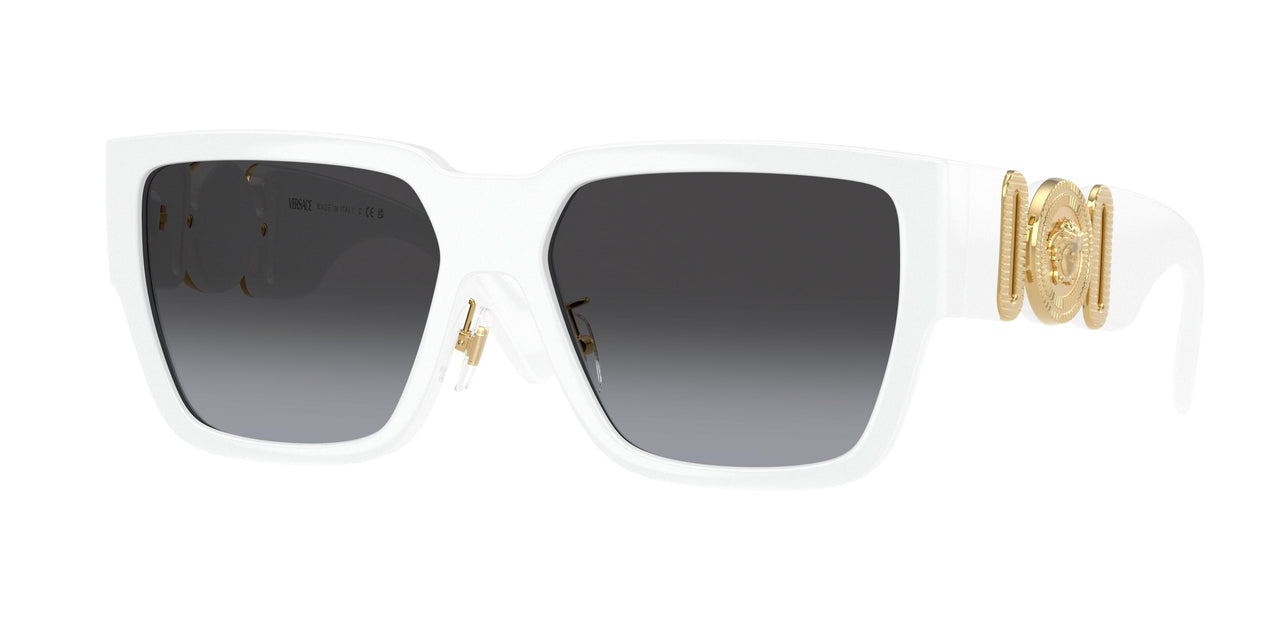 Versace 4483D Sunglasses