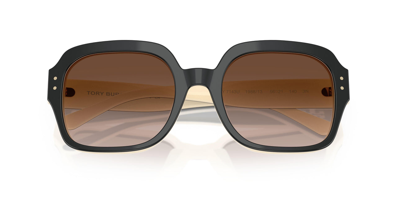 198813 - Black - Brown Gradient