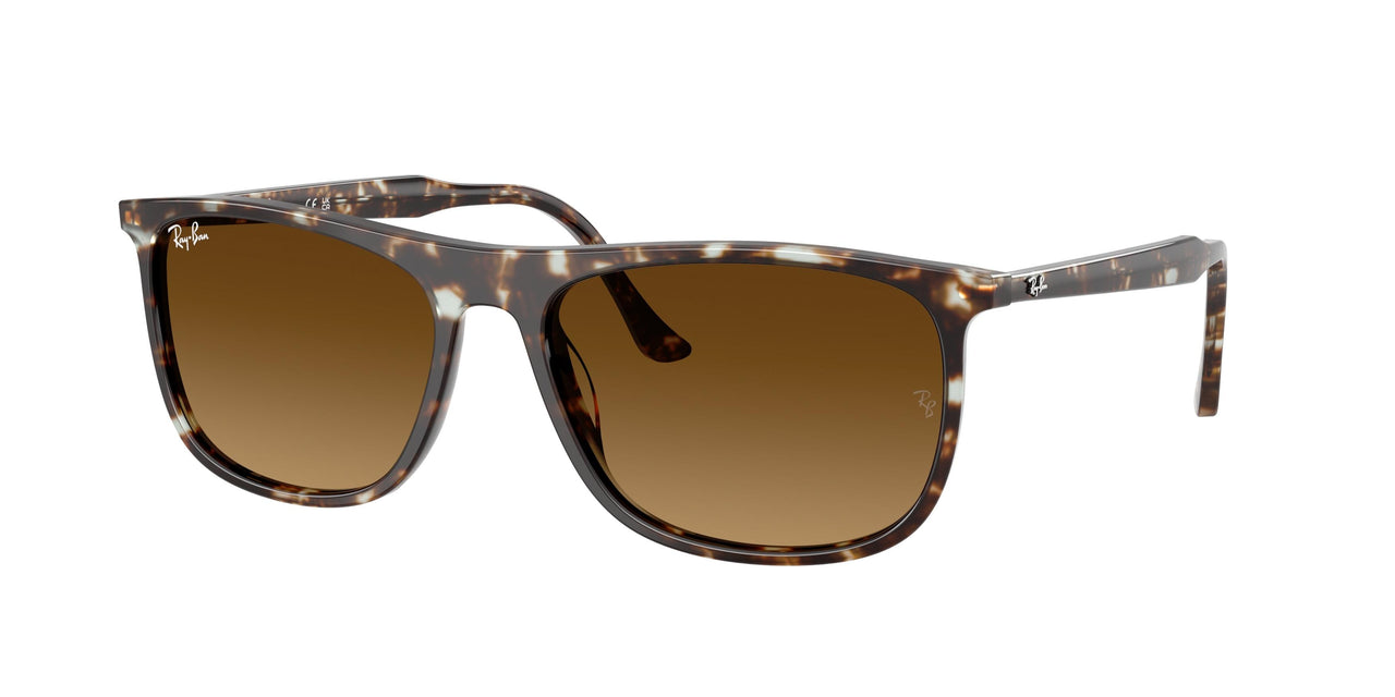 Ray-Ban 2216F Sunglasses