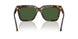 108/71 - Tortoise - Dark Grey