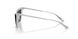 300287 - Silver - Dark Grey