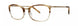 Vera Wang V521 Eyeglasses