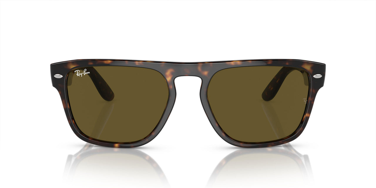 135973 - Tortoise - Dark Brown