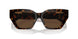 80153G - Tortoise - Light Brown