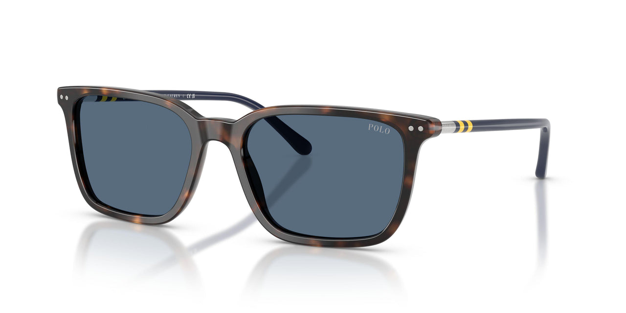 500380 - Tortoise - Dark Blue