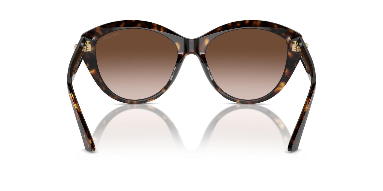 500213 - Tortoise - Gradient Brown