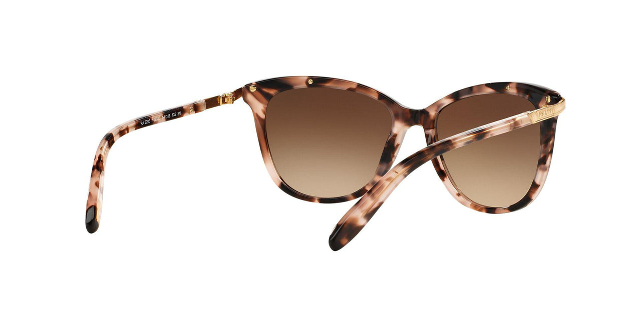 146313 - Havana - Dark Brown Gradient