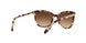 146313 - Havana - Dark Brown Gradient