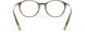 6031 - Havanna Walnut - ext. nosebridge