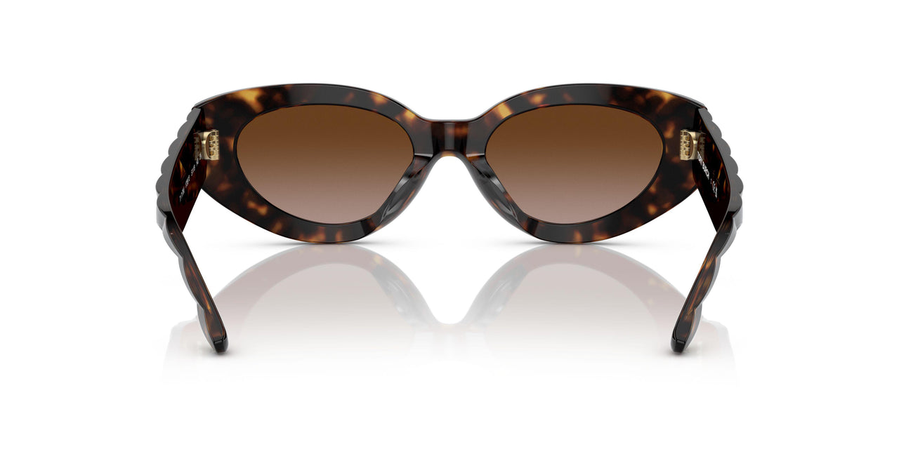 172813 - Havana - Brown Gradient