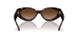 172813 - Havana - Brown Gradient