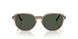 32939A - Brown - Dark Green Polar