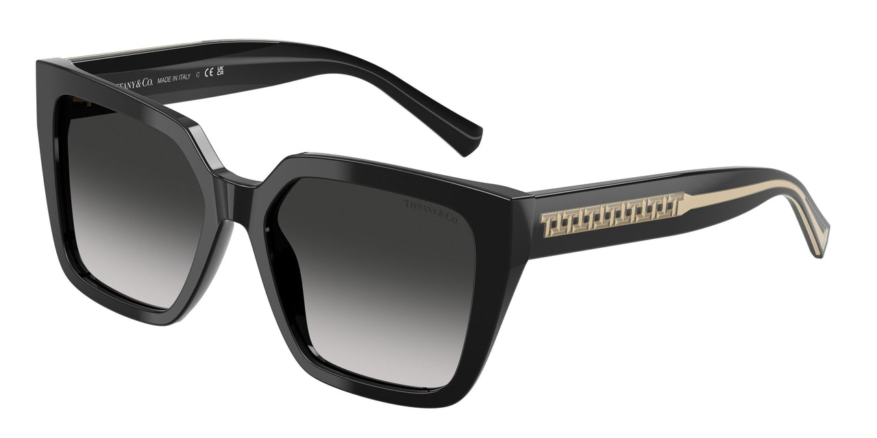 80013C - Black - Grey Gradient