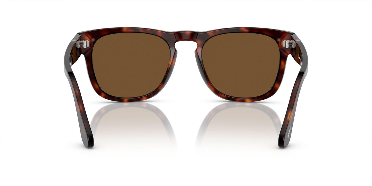 24/57 - Tortoise - Polar Brown