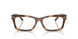 6089 - Tortoise