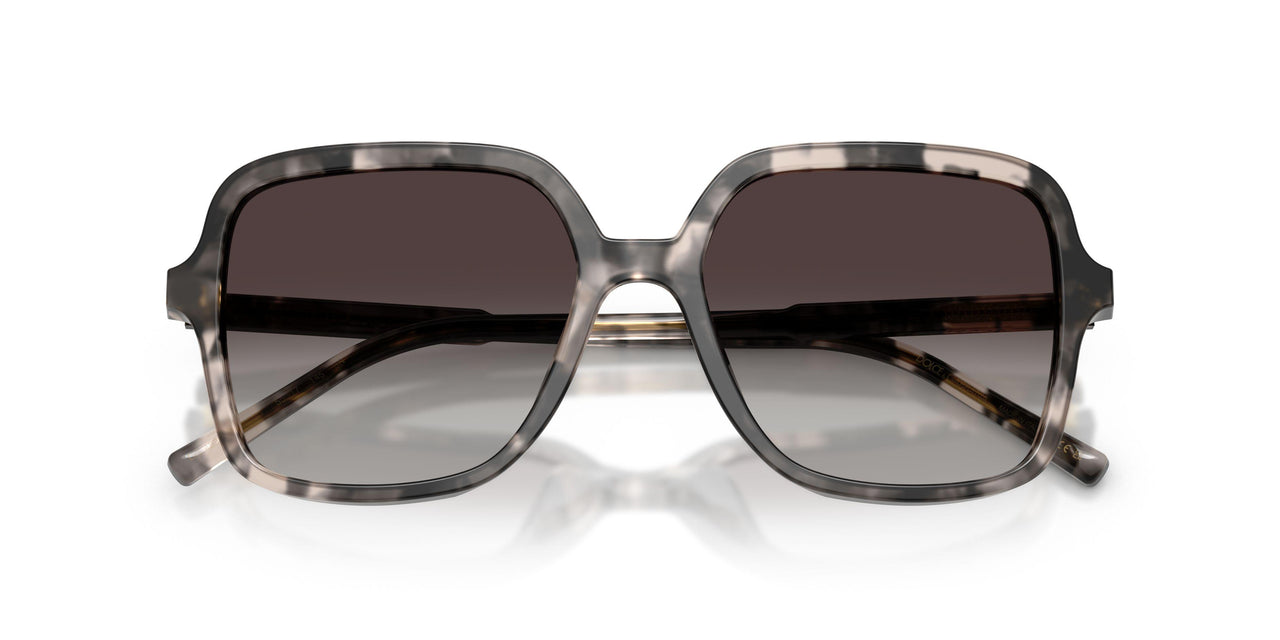 31728G - Tortoise - Grey Gradient