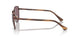 1124AF - Brown - Dark Violet Polar