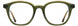 Cinzia CIN5193 Eyeglasses