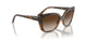 238613 - Havana - Brown Gradient
