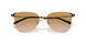 301313 - Gold - Gradient Brown