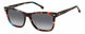 Carrera 3001 Sunglasses