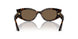 500273 - Tortoise - Dark Brown
