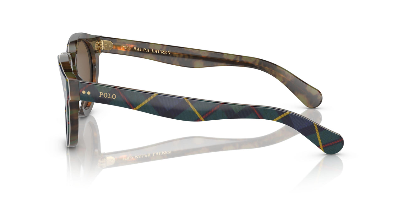 562573 - Multicolor - Brown