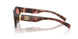 347684 - Tortoise - Pink