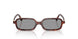 21C40O - Tortoise - Grey