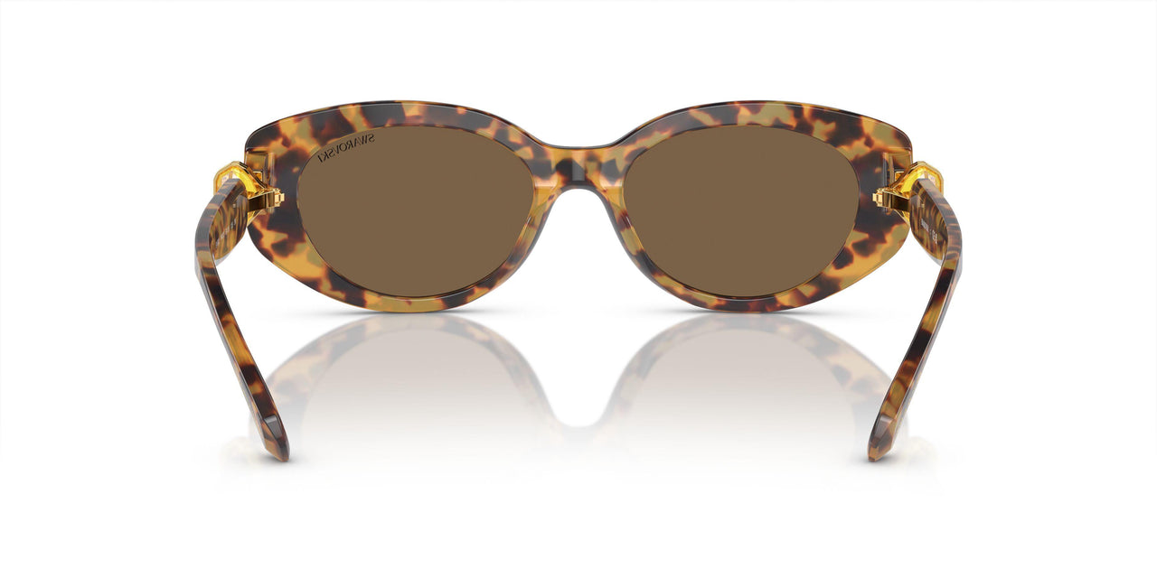 104073 - Tortoise - Dark Brown