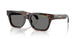 550981 - Tortoise - Dark Grey Polar