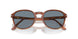 96/56 - Brown - Light Blue