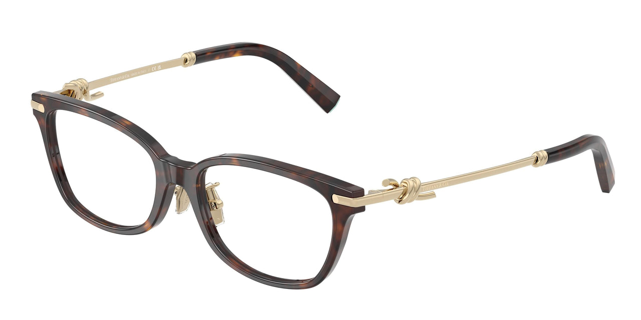 8015 - Tortoise