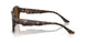 731/57 - Tortoise - Brown Polar