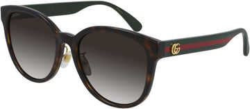 003 - Green - Brown