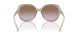 299068 - Transparent Light Brown - Violet gradient brown