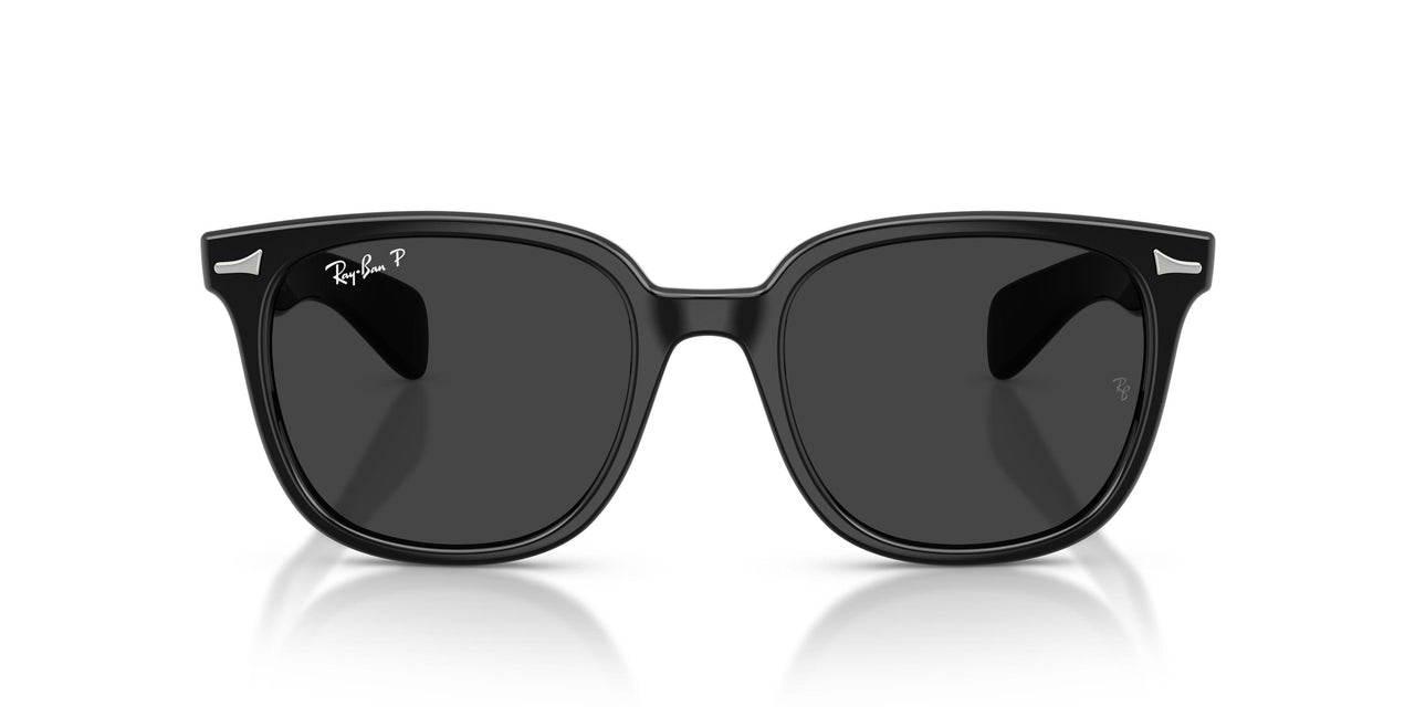 901/48 - Black - Polarized Black
