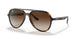 710/13 - Havana - Brown Gradient