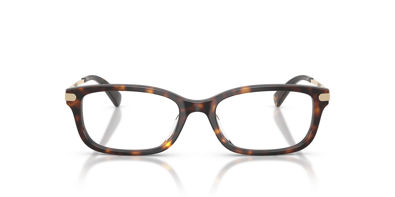5120 - Tortoise
