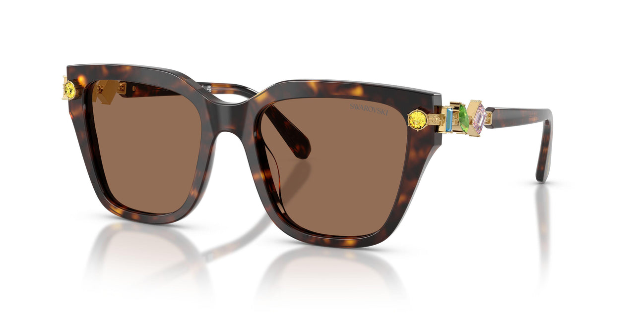 100273 - Tortoise - Dark Brown